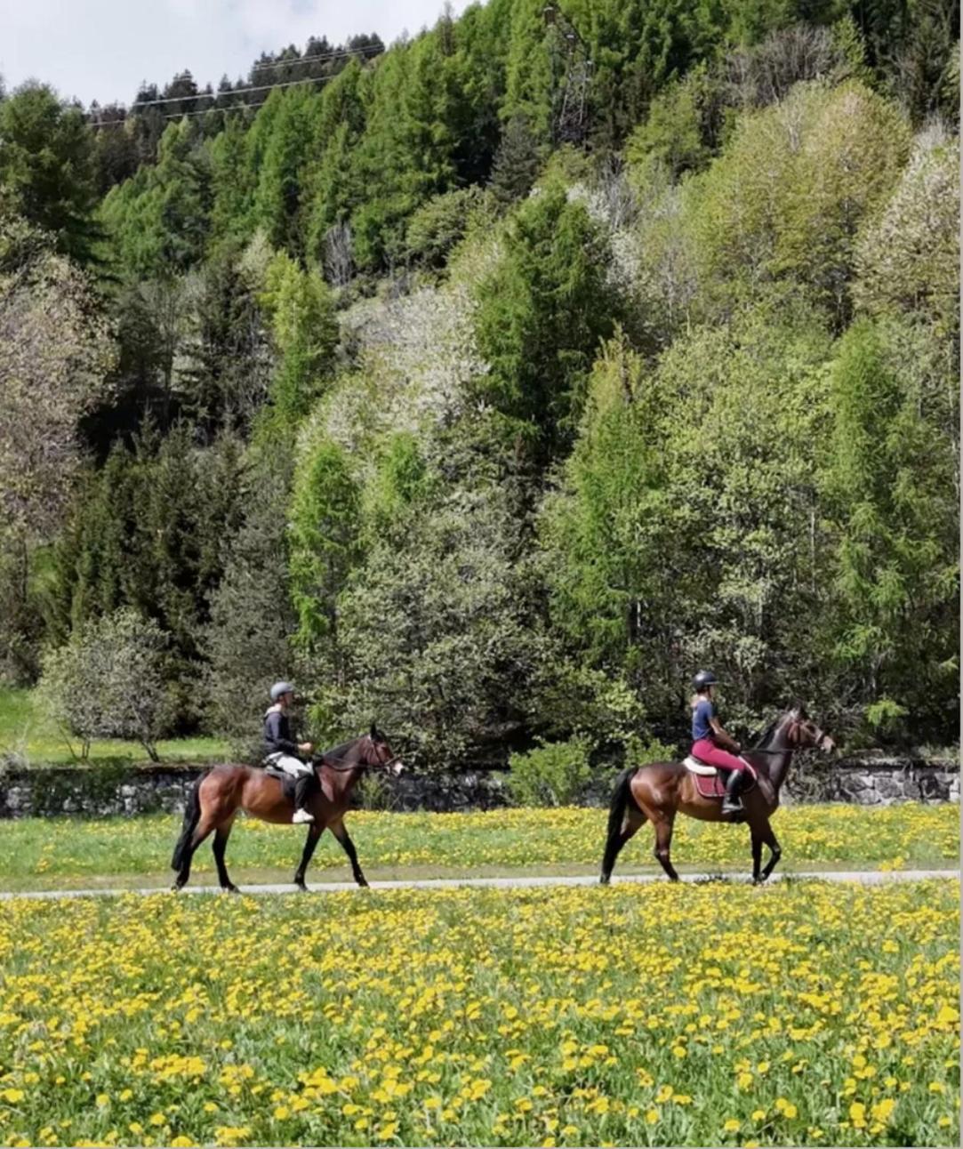 Sankt Moritz Suite المظهر الخارجي الصورة